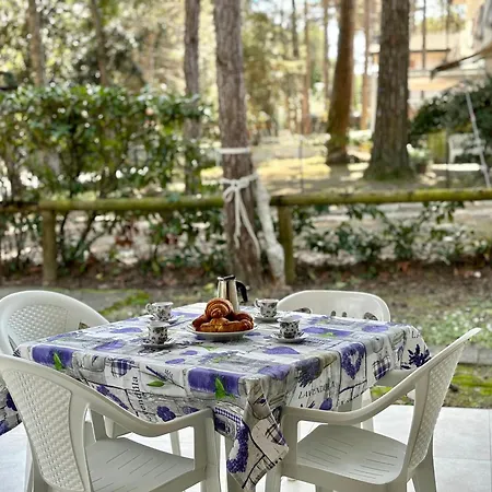 Giorgio 1 Relax In Pineta