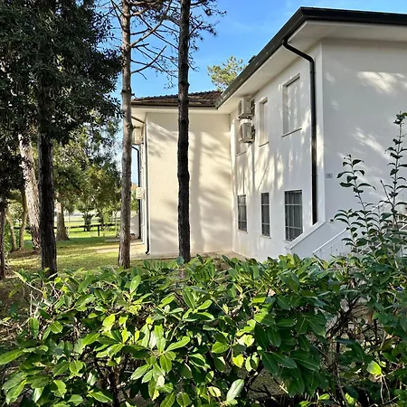 Giorgio 1 Relax In Pineta 아파트 *