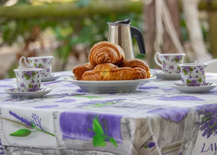 Giorgio 1 Relax In Pineta